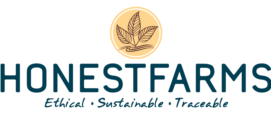 logo main